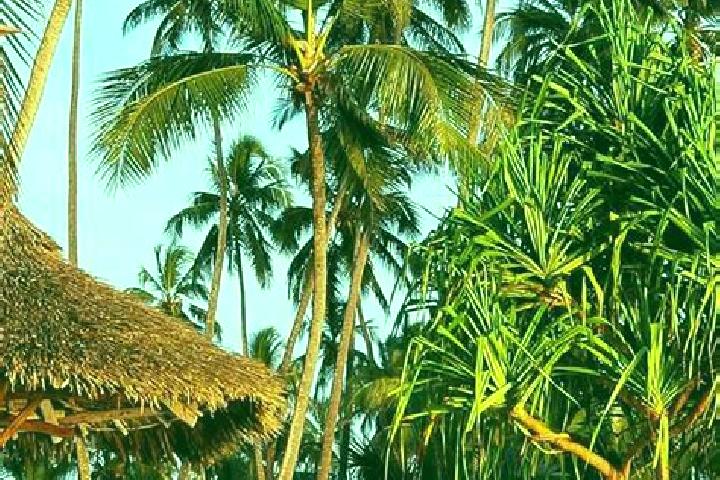 Mia, 32 — Escort in Matai, Tanzania