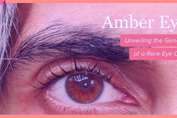 Mia, 33, a black amber-eyed european companion based in Maya Tecun II. Offering Girlfriend Experience, Prostate Massage, Couples, Striptease, Party Girl. Ava...