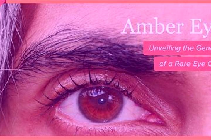 Mia, 33, a red amber-eyed indian companion based in Mehlbach. Offering Deep French Kissing, Dinner Date, Girlfriend Experience, A-Level, Striptease. Availabl...