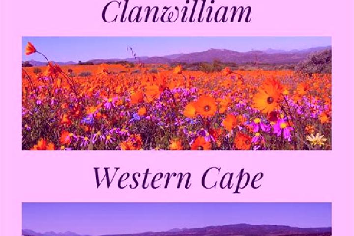 Mia, 33 — Escort in Clanwilliam, South Africa