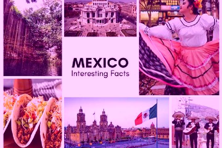 Mia, 33 — Escort in Pochalcatl, Mexico