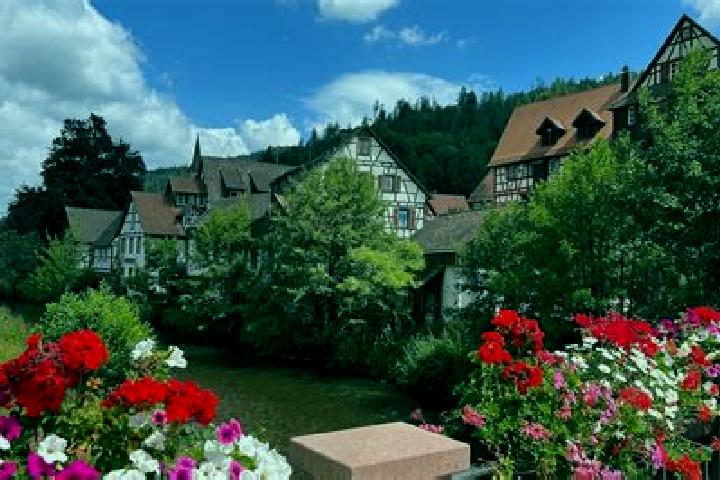 Mia, 33 — Escort in Schiltach, Germany
