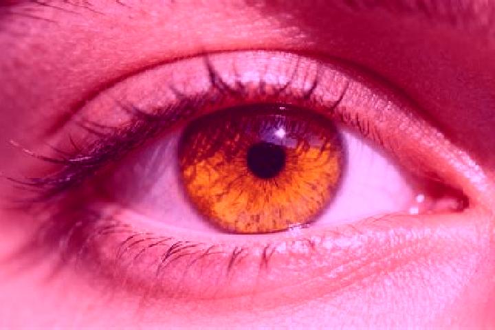 Mia, 34, a red amber-eyed european companion based in Swineshead. Offering OWO, GFE, Tantra, Dinner Date. Available for incall and outcall, day and evening d...