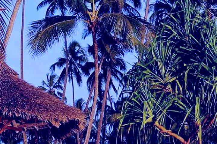 Mia, 34 — Escort in Liuli, Tanzania