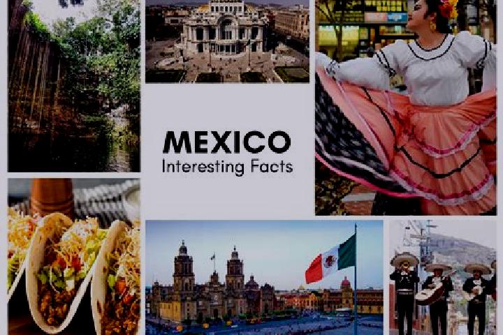 Mia, 35 — Escort in Las Colonias, Mexico