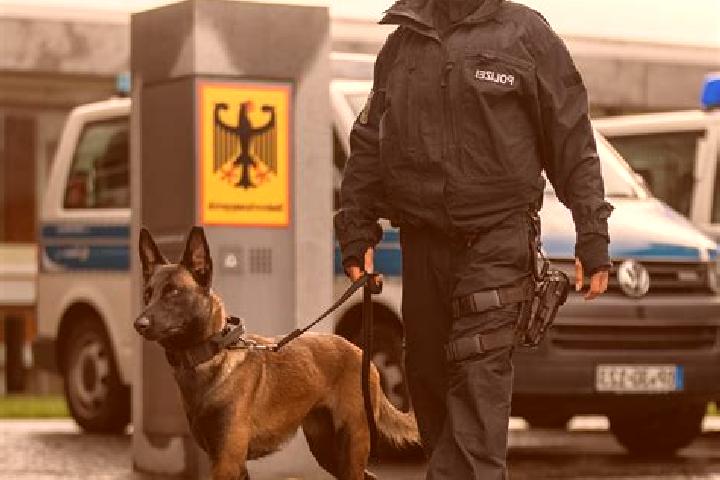 Mia, 36 — Escort in Bei der Hoehne, Germany