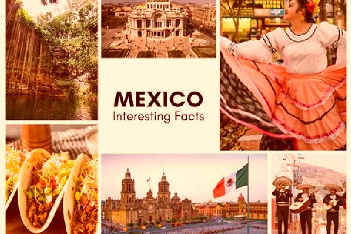 Mia, 36 — Escort in Tutuaca, Mexico