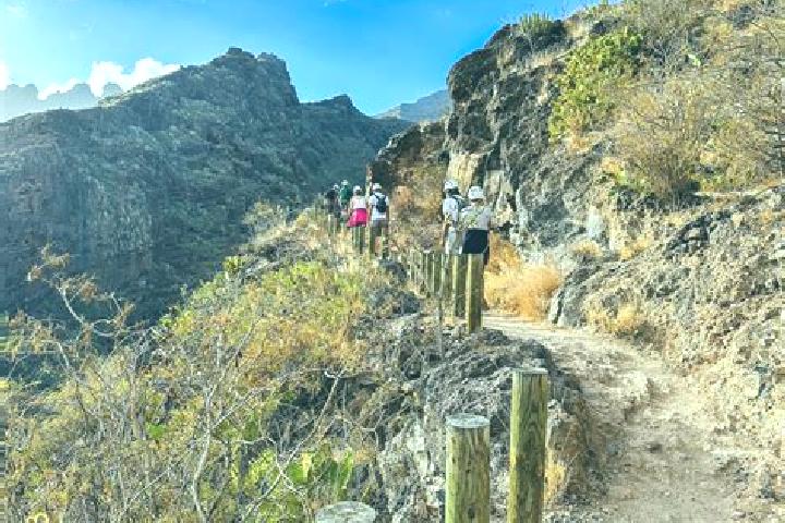 Mia, 37 — Escort in El Barranco Azul, Mexico