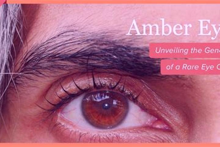 Mia, 38, a black amber-eyed european companion based in Wolowice. Offering Tantra, Striptease, OWO, CIM. Available for incall and outcall, day and evening da...