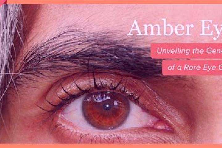 Mia, 38, a red amber-eyed asian companion based in Beaumont. Offering BDSM, A-Level, Domination, Tantra, Roleplay. Available for incall and outcall, day and ...