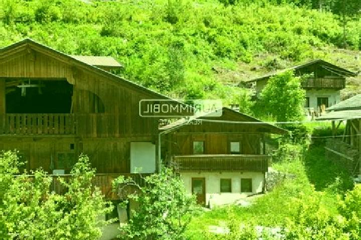 Mia, 38 — Escort in Selva dei Molini, Italy