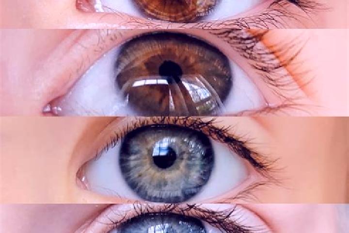 Mia, 39, a chestnut hazel-eyed slavic companion based in Belo Jardim. Offering Deep French Kissing, BDSM, OWO, Roleplay, 69. Available for incall and outcall...