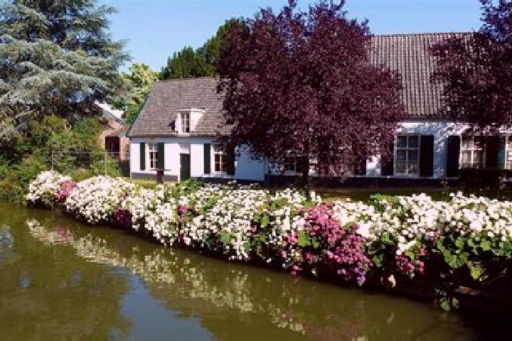 Mia, 39 — Escort in Bunnik, Netherlands
