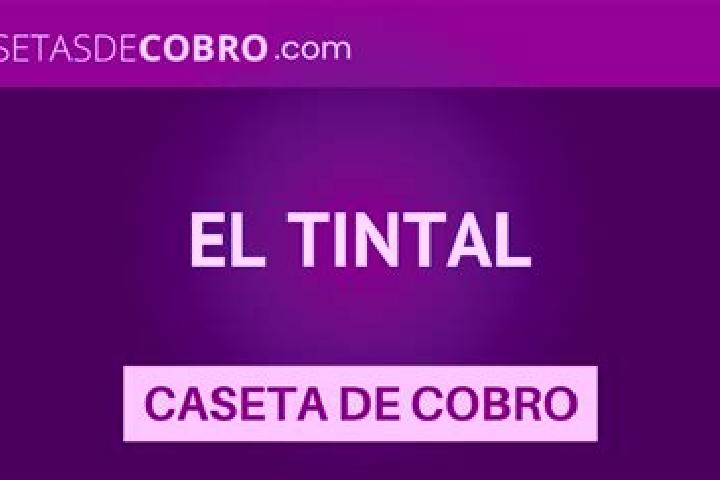 Mia, 39 — Escort in El Tintal, Mexico