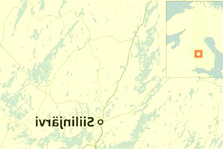 Mia, 39 — Escort in Siilinjaervi, Finland