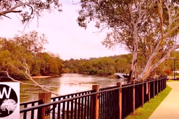 Mia, 39 — Escort in West Wodonga, Australia