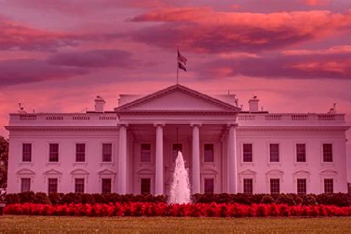 Mia, 39 — Escort in White House, United States
