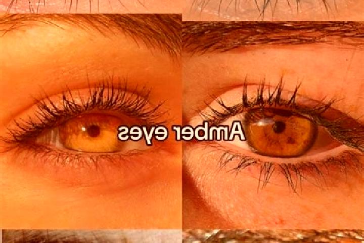 Mila, 20, a chestnut amber-eyed caribbean companion based in Taman Melawati. Offering Overnight, Prostate Massage, Duos. Available for incall and outcall, ov...