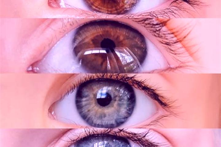 Mila, 20, a chestnut green-eyed middle eastern companion based in Brentino Belluno. Offering Party Girl, Duos, OWO, Domination. Available for incall and outc...