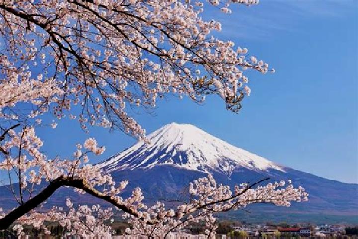 Mila, 20 — Escort in Koshi, Japan