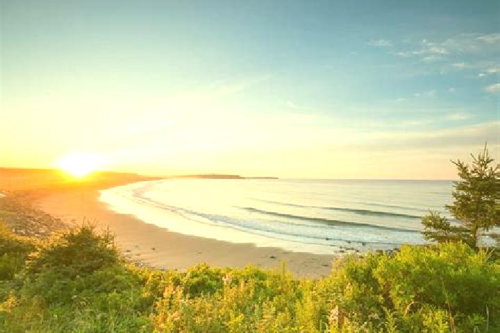 Mila, 20 — Escort in Truro, United States