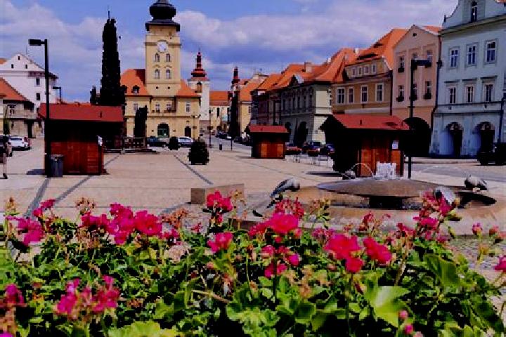 Mila, 20 — Escort in Zatec, Czech Republic