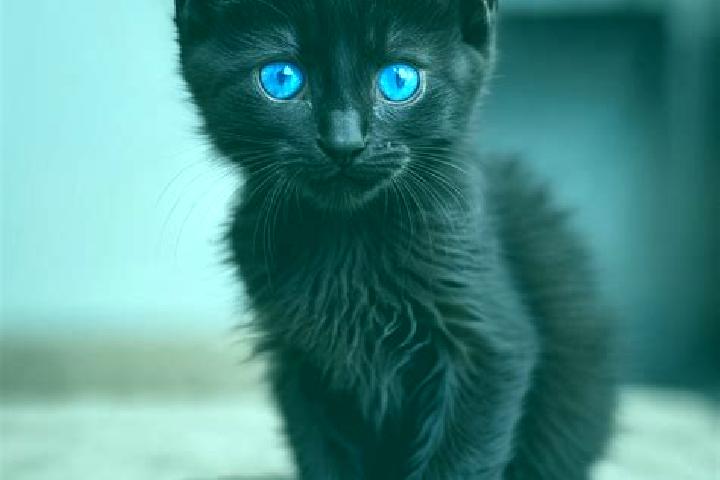 Mila, 21, a black blue-eyed mediterranean companion based in Peshtigo. Offering Striptease, Girlfriend Experience. Available for incall and outcall, overnigh...