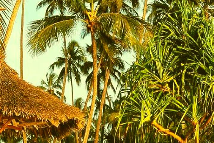 Mila, 21 — Escort in Kiratu, Tanzania