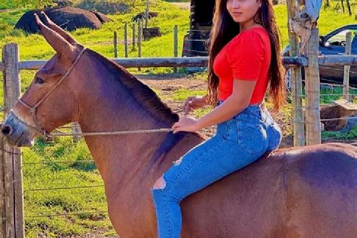 Mila, 21 — Escort in Sao Joao do Manteninha, Brazil