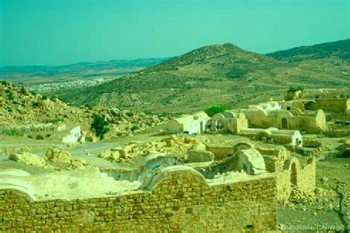 Mila, 21 — Escort in Zriba-Village, Tunisia