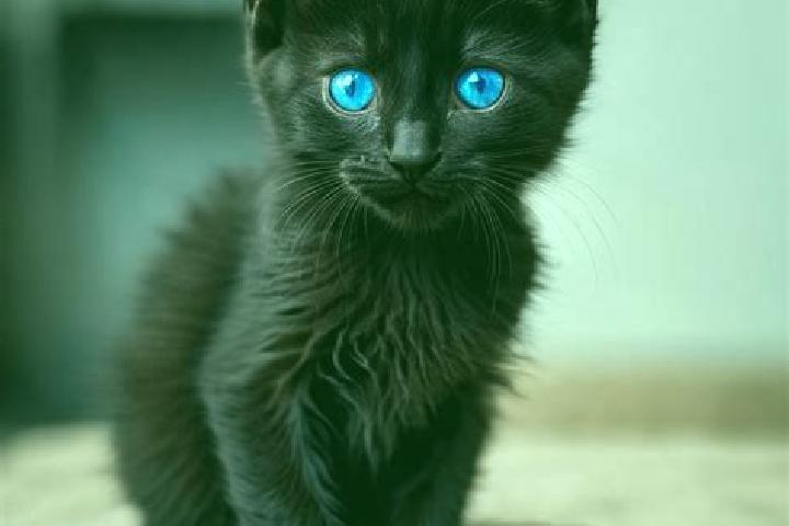 Mila, 23, a black blue-eyed caribbean companion based in Fengshou. Offering OWO, Erotic Massage, Overnight. Available for incall and outcall, day and evening...