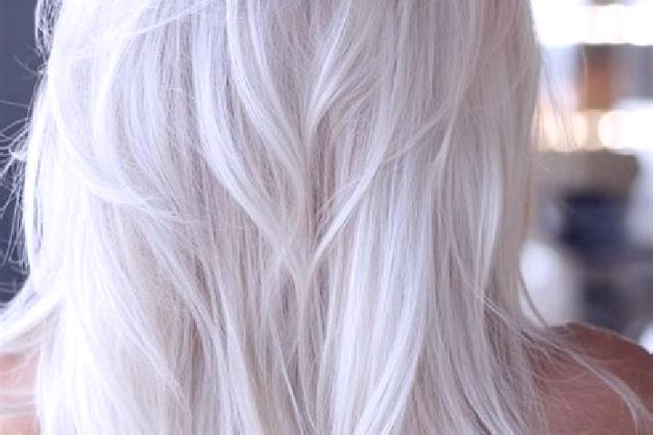 Mila, 23, a platinum blonde grey-eyed asian companion based in Ham-sur-Heure. Offering BDSM, Dinner Date, Tantra, OWO. Available for incall and outcall, over...