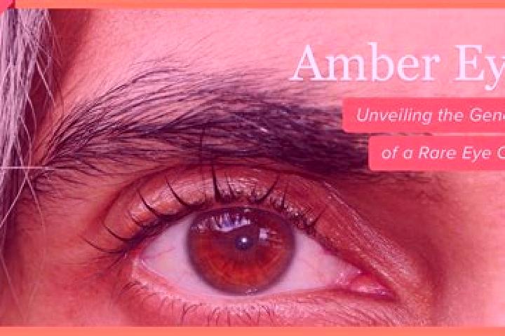 Mila, 23, a red amber-eyed indian companion based in Altinova. Offering Roleplay, CIM, Couples, Domination, Girlfriend Experience. Available for incall and o...