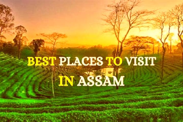 Mila, 23 — Escort in Asham, India