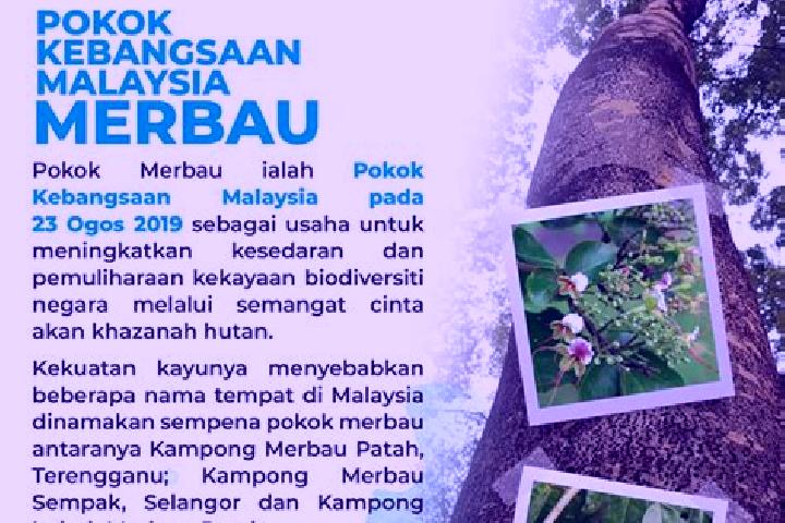 Mila, 23 — Escort in Kampung Lubok Merbau, Malaysia