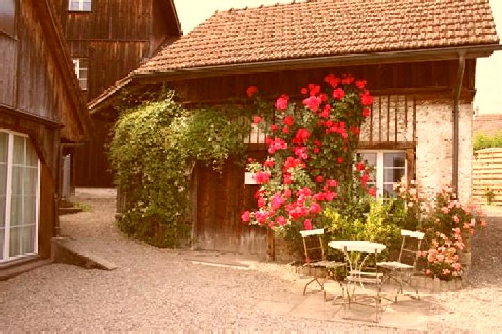 Mila, 23 — Escort in Knonau, Switzerland