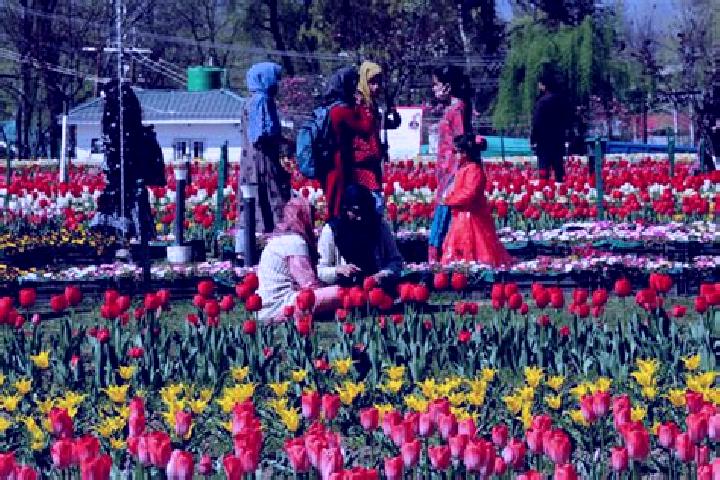 Mila, 23 — Escort in Surkh Bilandi, Afghanistan