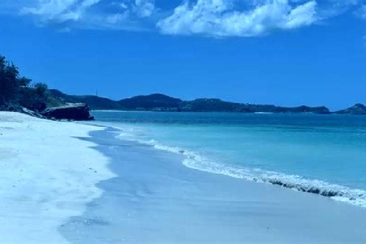 Mila, 24 — Escort in Codrington, Antigua and Barbuda