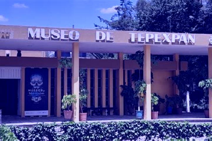 Mila, 24 — Escort in Manzana Tercera de Santa Cruz Tepexpan, Mexico
