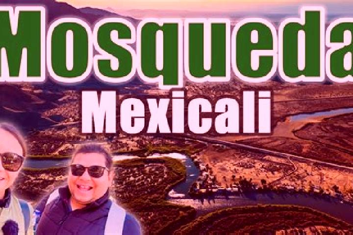 Mila, 24 — Escort in Noria de Mosqueda, Mexico