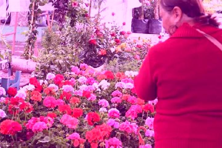Mila, 25 — Escort in Las Flores Cinco Poblados, Mexico