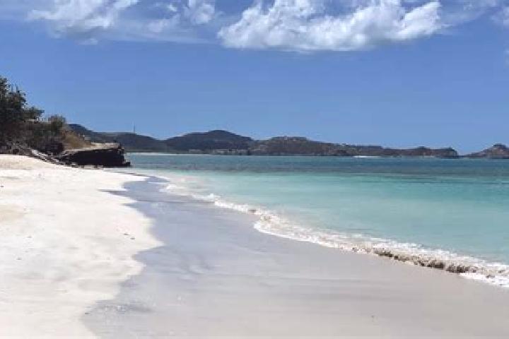 Mila, 25 — Escort in Piggotts, Antigua and Barbuda