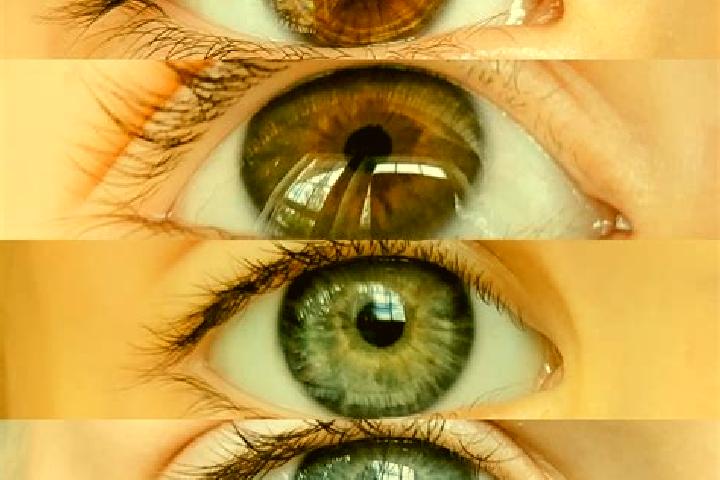 Mila, 26, a chestnut grey-eyed mixed companion based in Tolleshunt Knights. Offering OWO, 69, Prostate Massage, Overnight. Available for incall and outcall, ...