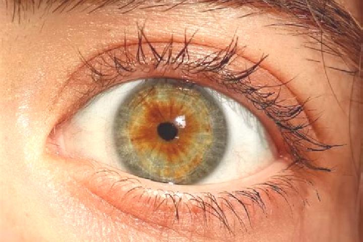 Mila, 26, a red hazel-eyed mediterranean companion based in Pinvoro. Offering Overnight, Prostate Massage, Domination. Available for incall and outcall, over...