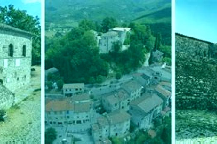Mila, 26 — Escort in Caprese Michelangelo, Italy