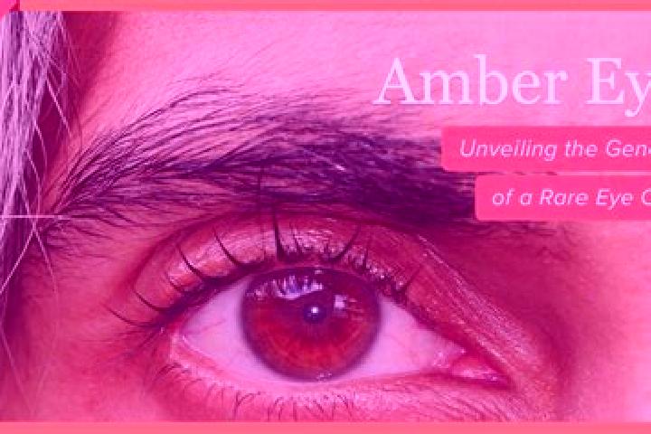 Mila, 27, a black amber-eyed caucasian companion based in Cerna. Offering Prostate Massage, CIM, Tantra. Available for incall and outcall, overnight bookings...