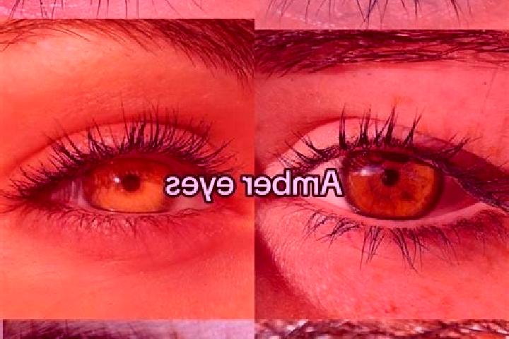Mila, 27, a chestnut amber-eyed caucasian companion based in Guardamiglio. Offering Duos, Deep French Kissing, Couples, Roleplay. Available for incall and ou...