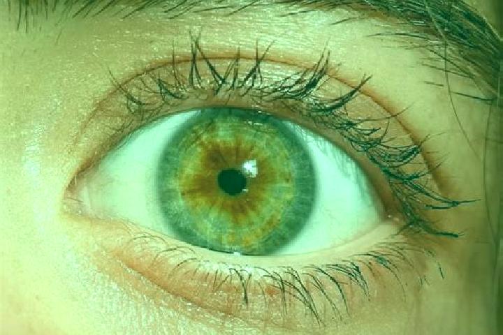 Mila, 27, a red hazel-eyed middle eastern companion based in Newbridge. Offering Fetish, Domination, Girlfriend Experience, Party Girl. Available for incall ...