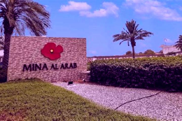 Mila, 27 — Escort in Brummanat al Mashayikh, Syria