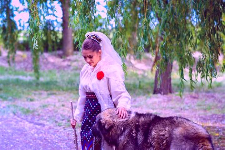 Mila, 27 — Escort in Hiliseu-Horia, Romania